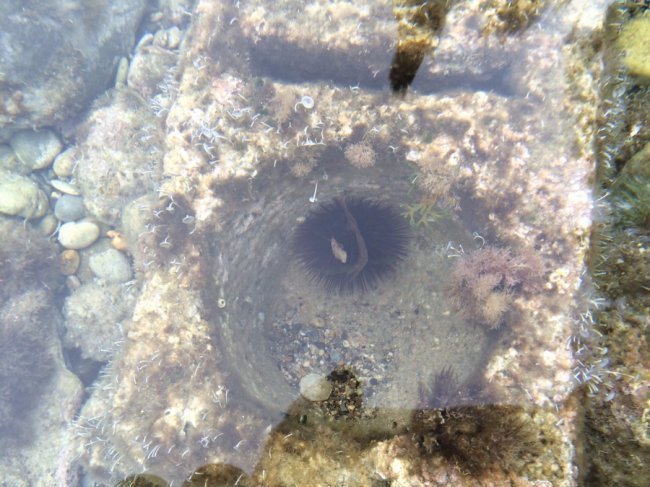 «Нотатки мандрівника» Ярослава Тарнавського: корисні лайфхаки дешевих мандрів