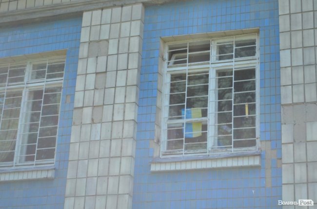 Життя на місці смерті: як зону відчуження «захоплює» ліс