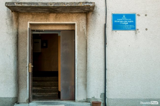 Чисте повітря та сільська тиша: за що лучани люблять Кічкарівку. ФОТО