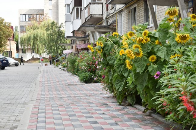 «Це конкретні наміри, а не просто слова», – Ігор Поліщук про свою передвиборчу програму та її виконання. ІНТЕРВ’Ю