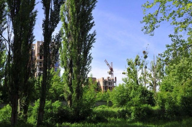 Творимо максимально наближене до ідеалу житло, – Андрій Разумовський