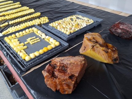 КП «Волиньприродоресурс» опублікувало звіт про фінансові результати за 2025 рік