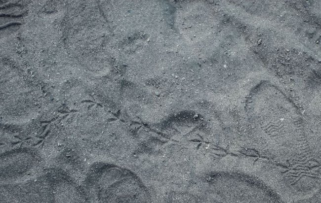 «Нотатки мандрівниці» Олександри Гусар про ОАЕ: Специфічні запахи та секс-туризм