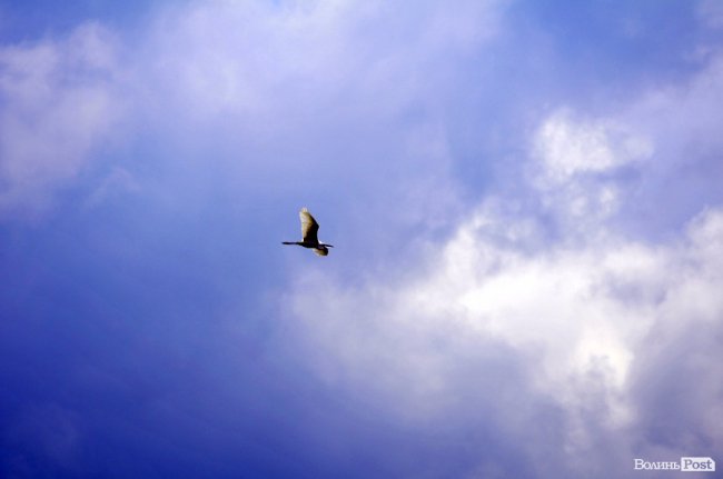 Туристичні принади Волині: лабіринтами «Амазонки»