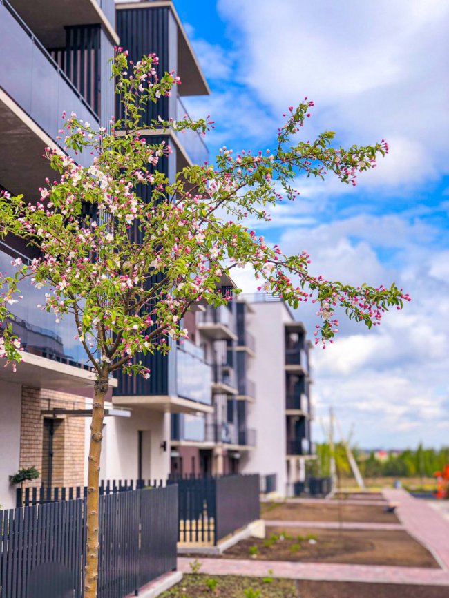 Хто насправді будує перший на Волині клубний ЖК «StyleUP» і до чого тут «Інвестор» Разумовського* 