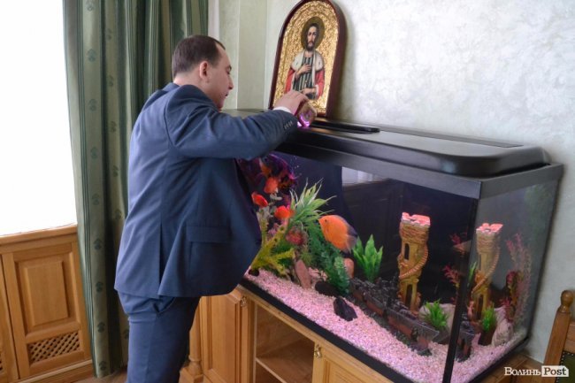 Акваріум у кабінету Кватирка