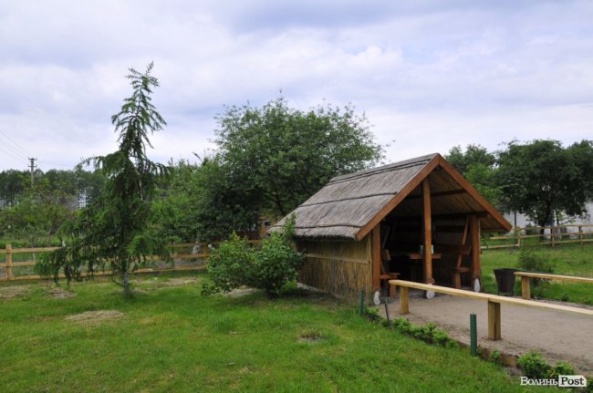 Туристичні принади Волині: лабіринтами «Амазонки»