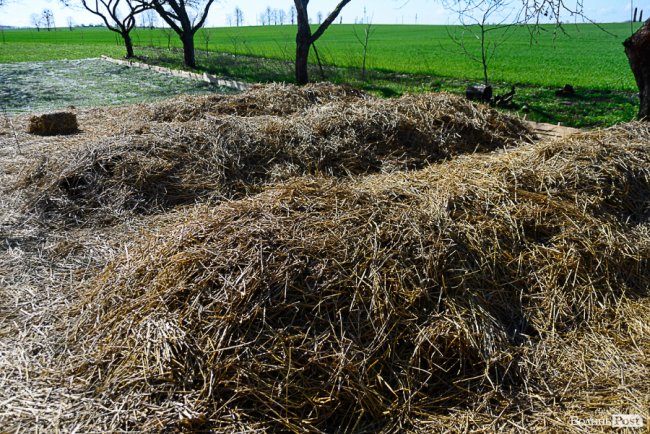 Знахідка для фермерів: луцька компанія створює біогумус для іноземців та всієї України* 