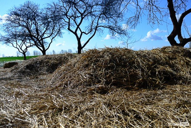 Знахідка для фермерів: луцька компанія створює біогумус для іноземців та всієї України* 