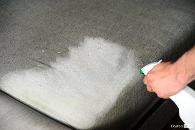 Порятунок від плям і шкідників: луцька клінінгова компанія «SAVA» надає послуги виїзної хімчистки. ФОТО*