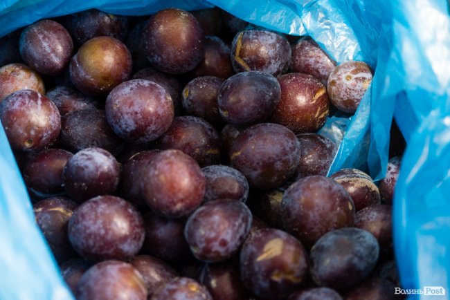 «Ліси Волині» – можливість їсти свіжі ягоди, гриби, овочі та фрукти цілий рік*