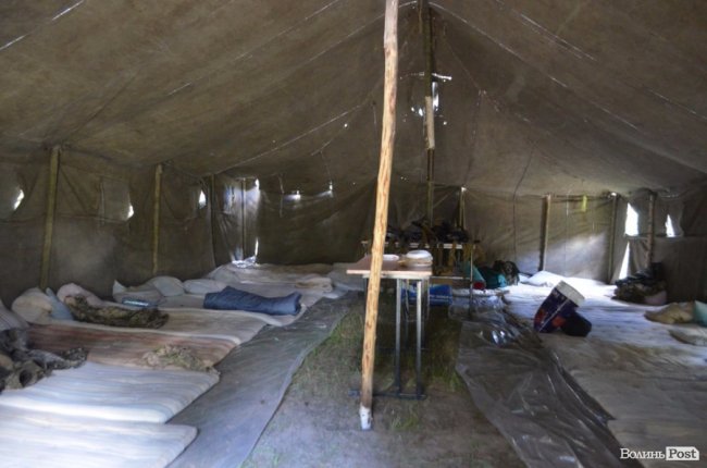 Патріоти краю і країни: як у лісах Волині тренуються загони тероборони