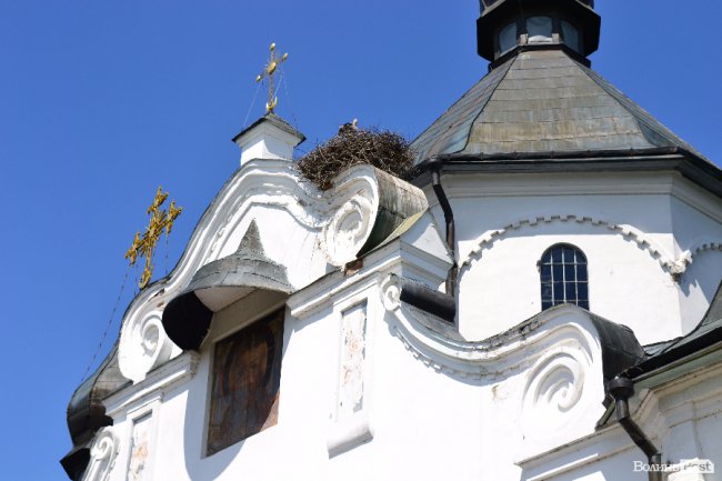 Історія і сучасність: як відзначали річницю битви під Берестечком