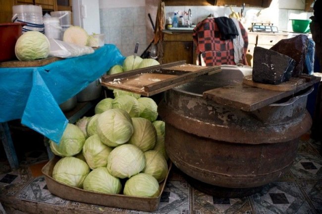 Квасити можна все, – волинянин поділився секретами приготування хрумких смаколиків