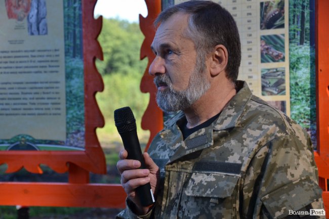 Волинські лісники б'ють на сполох: через шкідника відмирає сосновий ліс