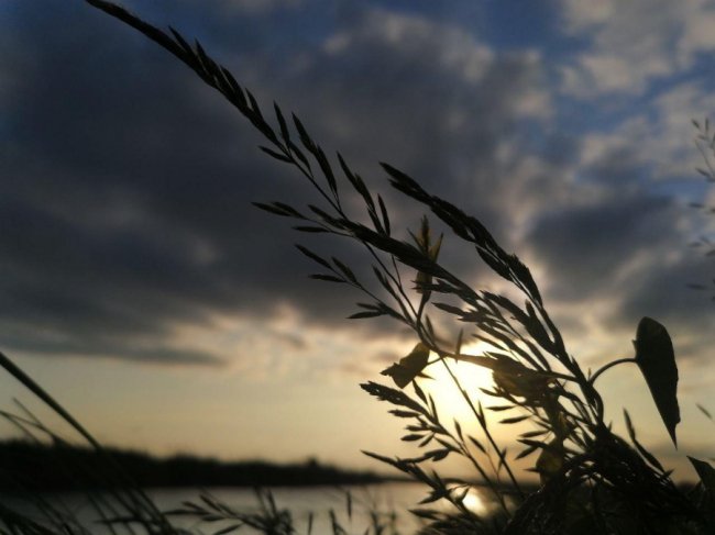 «Не просто будинок з євроремонтом, а садиба щасливих»: лучанка перетворила помешкання за містом в арт-простір. ФОТО