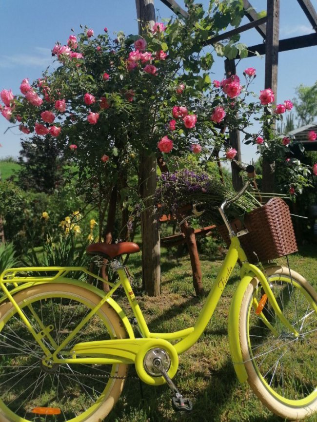 «Не просто будинок з євроремонтом, а садиба щасливих»: лучанка перетворила помешкання за містом в арт-простір. ФОТО
