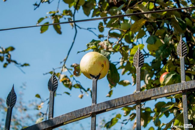 Чисте повітря та сільська тиша: за що лучани люблять Кічкарівку. ФОТО