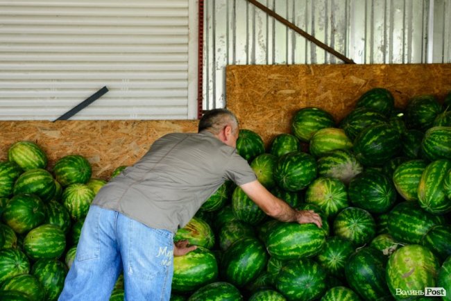 Про кавуновий бізнес і Україну: розмова з луцьким продавцем «смугастиків» із нотками азербайджанського акценту