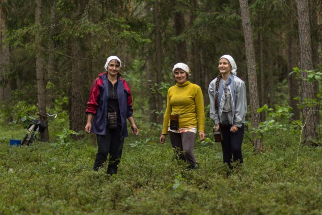 Ліс був завжди: історія волинського села, де все міряють ягодами