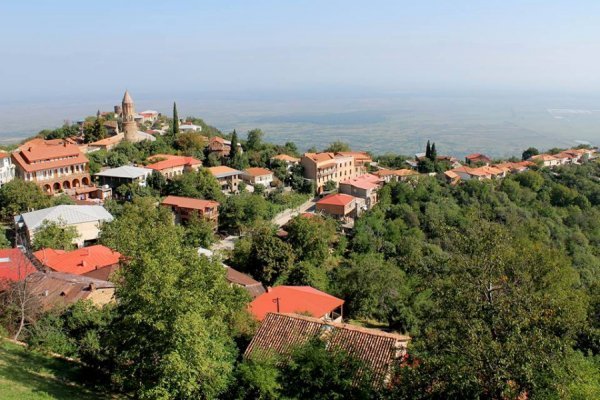 «Нотатки мандрівниці» Ірини Хом'як: легенда про мільйони троянд, фантастичне вино та грузинський Лас-Вегас