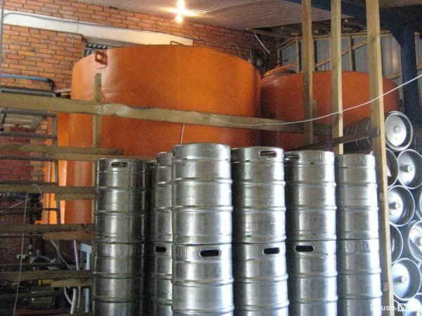 В гостях у квасу*