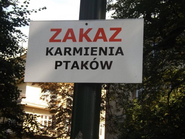 «Нотатки мандрівниці» Маї Голуб: За натхненням – до Любліна!