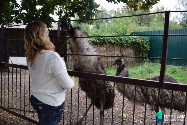 Домашній, затишний куточок: як живеться луцькому зоопарку