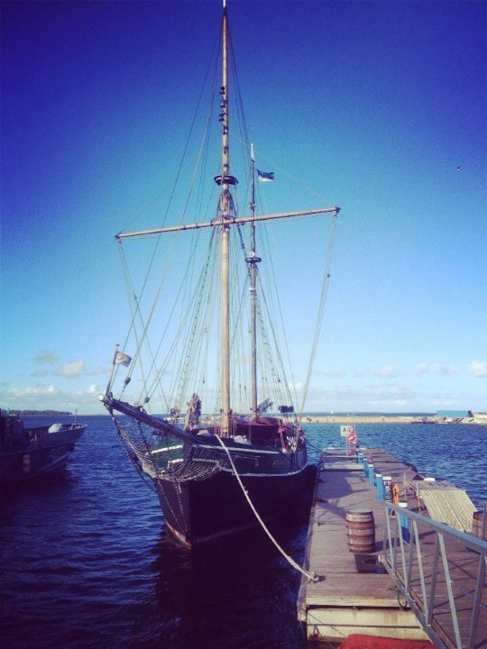 «Нотатки мандрівниці» Анни Авраменко: В Естонії швидкісний Wi-Fi навіть у лісі