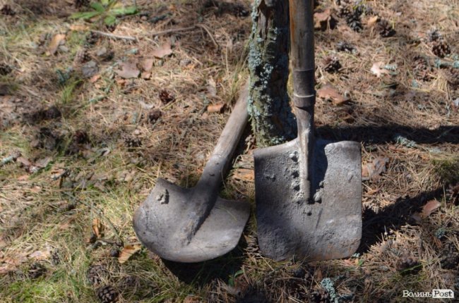 Патріоти краю і країни: як у лісах Волині тренуються загони тероборони