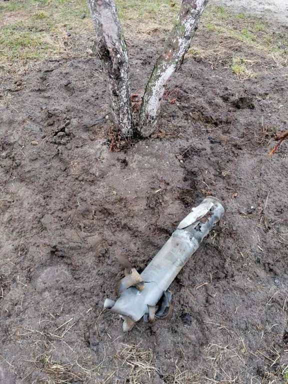 Екопарк у Ясногородці після обстрілу 