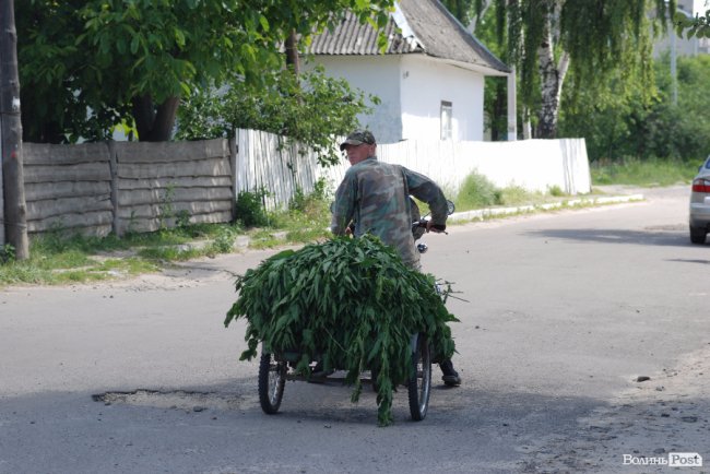 Ляшко на Волині нагороджував медиків, обробляв дерево та зустрівся з митрополитом Михаїлом