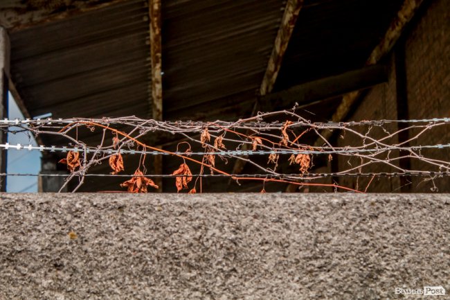 «Ми годували цукром всю північ СРСР»: як «показове» село Волині перетворилося на віддалений луцький райончик