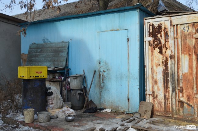 «Прилаштую собак, а тоді піду в будинок престарілих»: зворушлива історія самотньої бабусі з Луцька