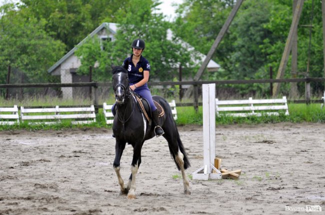 Екологічні стежки у волинському лісі – безліч відкриттів не лише для дітей