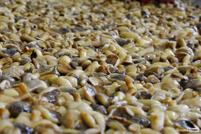 Маневицькими грибами смакуватиме Європа