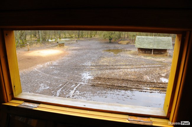 Лісівники показали, як розвивають мисливське господарство на Волині