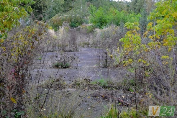 На руїнах слави