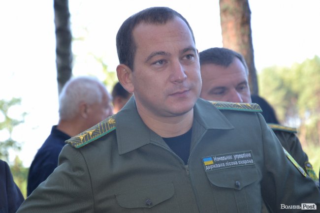 Волинські лісники б'ють на сполох: через шкідника відмирає сосновий ліс