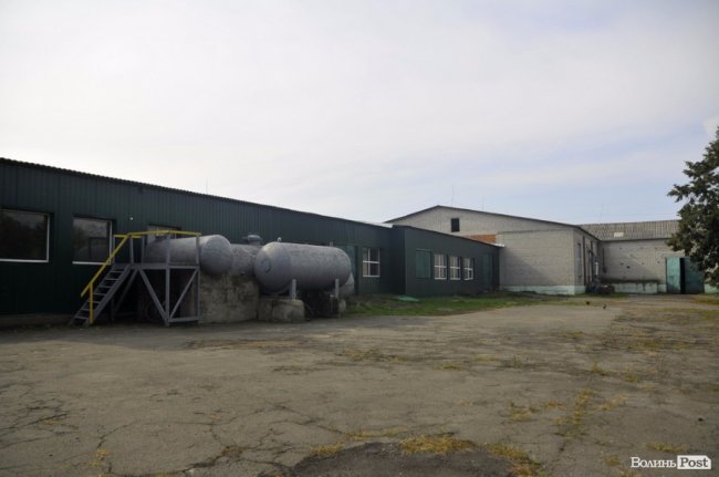 Маневицькими грибами смакуватиме Європа