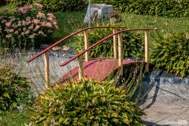 «Ми годували цукром всю північ СРСР»: як «показове» село Волині перетворилося на віддалений луцький райончик