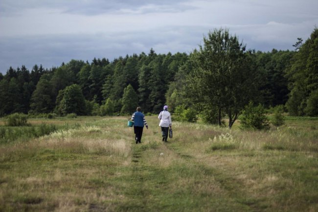 Ліс був завжди: історія волинського села, де все міряють ягодами