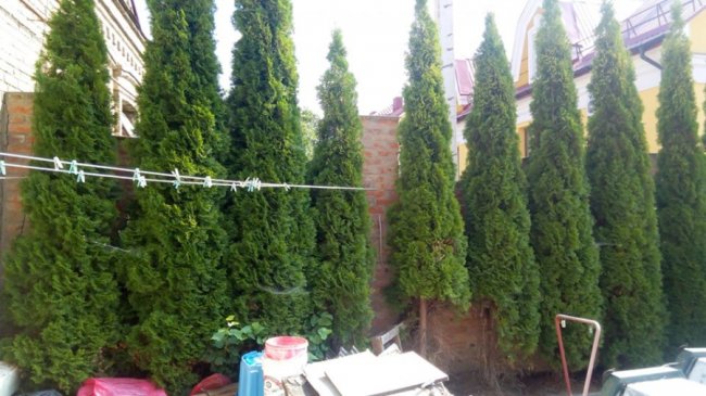 Готель збудував паркан і перегородив сусідці в’їзд до будинку