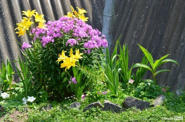 Що переживають звірі під час реконструкції луцького зоопарку