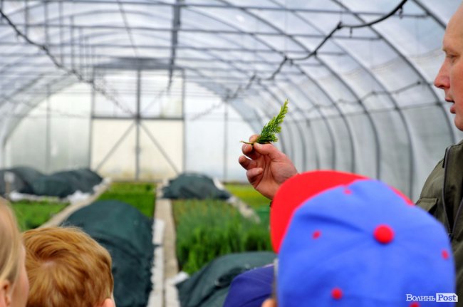 Екологічні стежки у волинському лісі – безліч відкриттів не лише для дітей