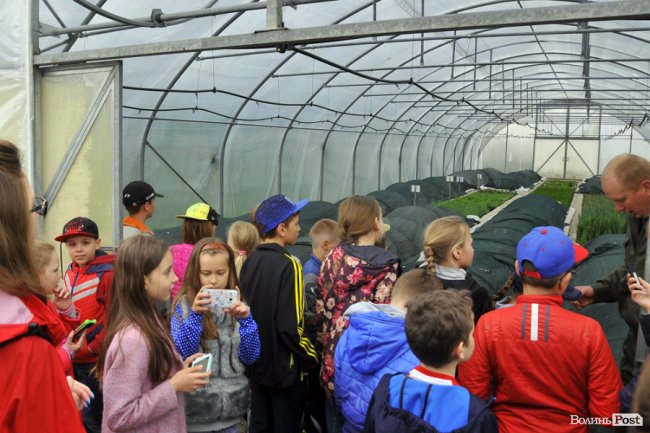 Екологічні стежки у волинському лісі – безліч відкриттів не лише для дітей