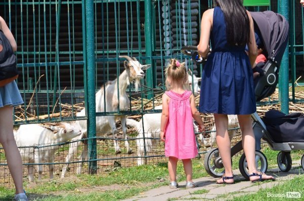 Що переживають звірі під час реконструкції луцького зоопарку