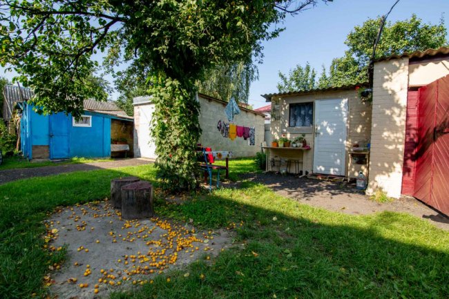 Як у звичайному гаражі в Княгининку народжуються унікальні дерев'яні іграшки