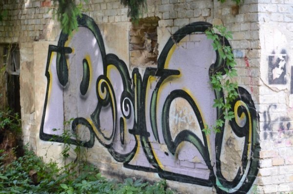 Під Луцьким замком «звили гніздо» наркомани. ФОТО 