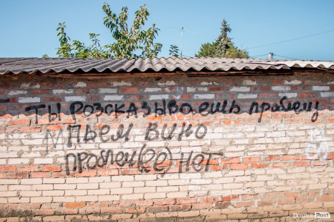 Чисте повітря та сільська тиша: за що лучани люблять Кічкарівку. ФОТО